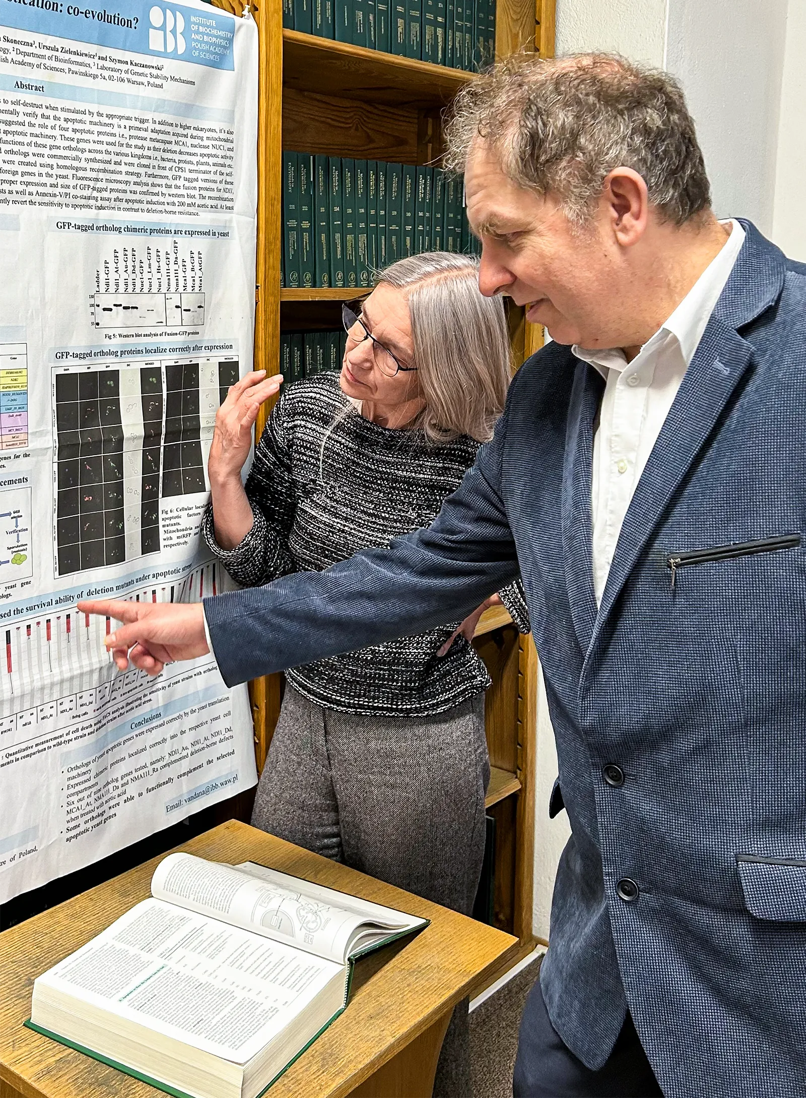 Urszula Zielenkiewicz and Szymon Kaczanowski point to a scientific poster describing their apoptosis research.