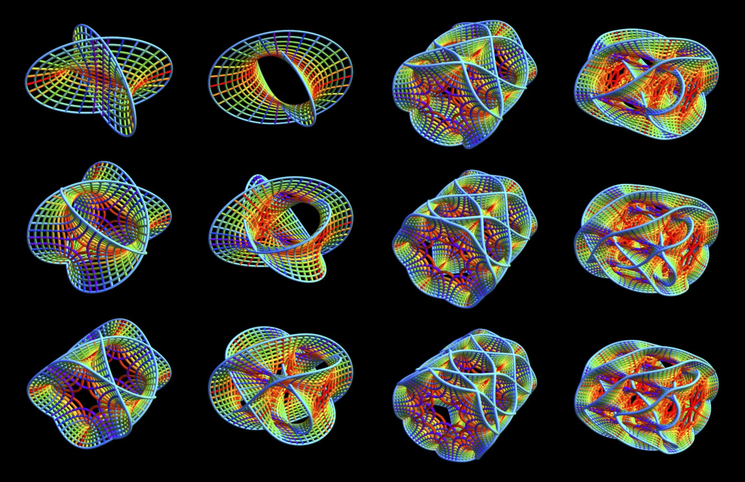 Rows of colorful loofah-like shapes line up on a black background. They grow increasingly complicated from one row to the next, with greater numbers of holes and curves.