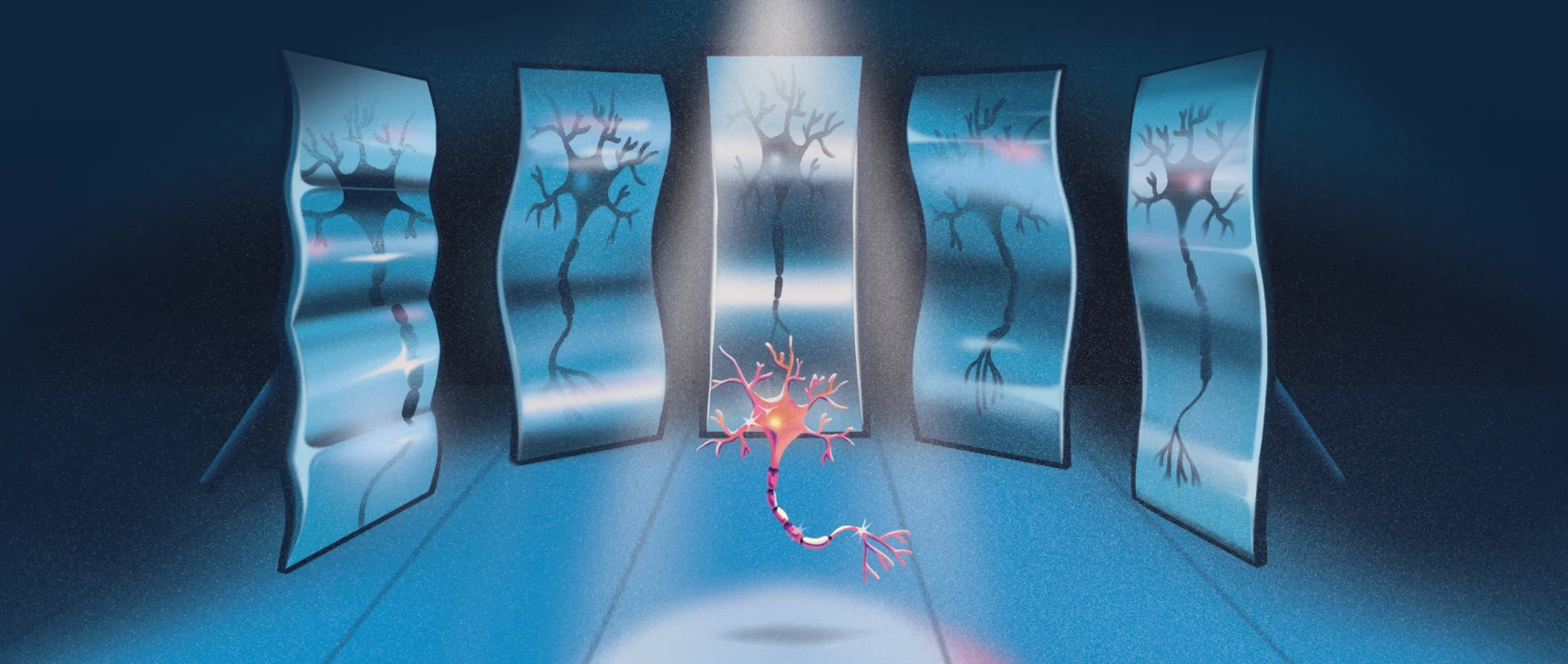 An illustration shows a neuron standing in front of a series of bent mirrors, each of which reflect a warped image of the cell.