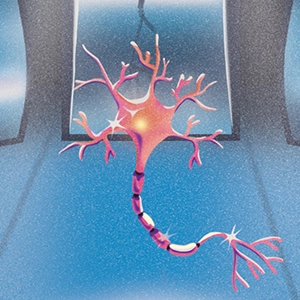 An illustration shows a neuron standing in front of a series of bent mirrors, each of which reflect a warped image of the cell.