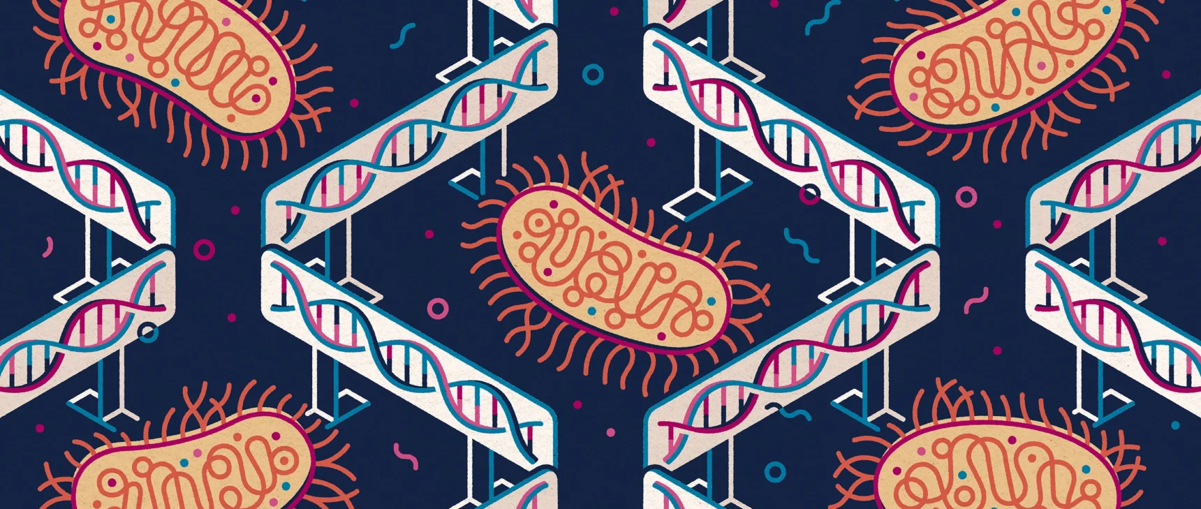 An illustration shows individual bacterial cells separated by barriers of DNA