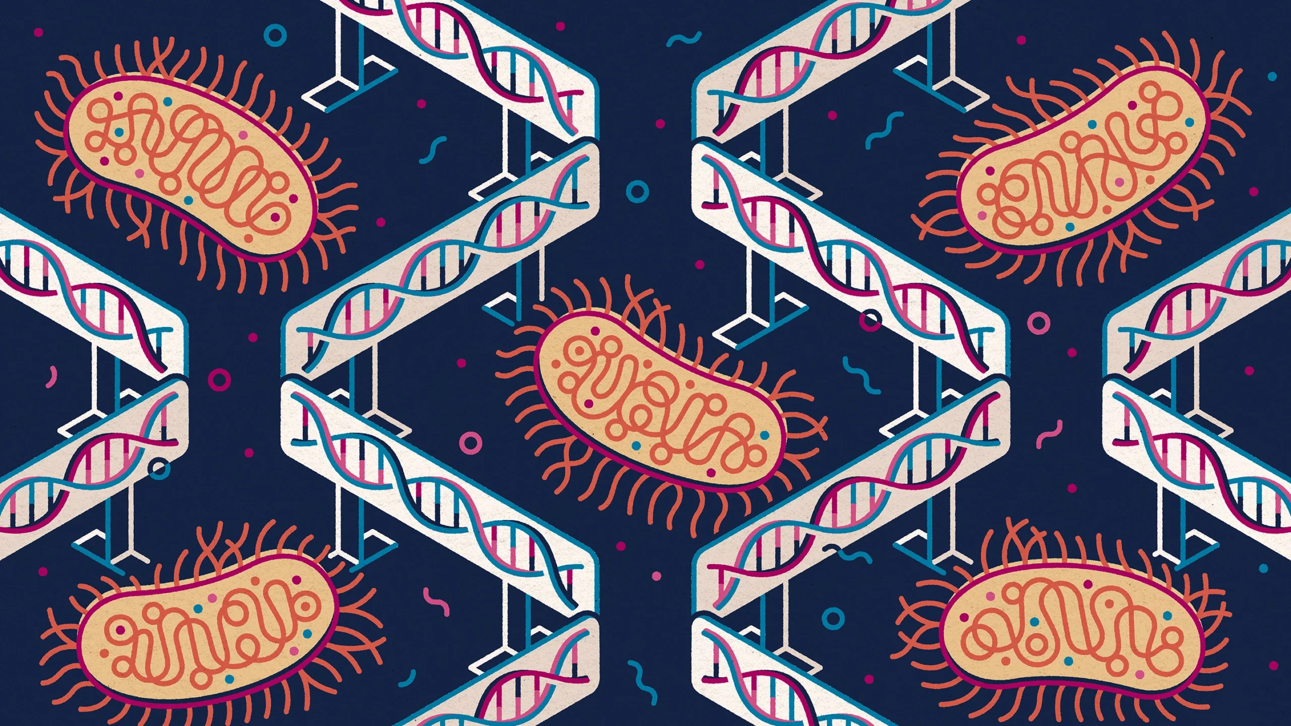 An illustration shows individual bacterial cells separated by barriers of DNA