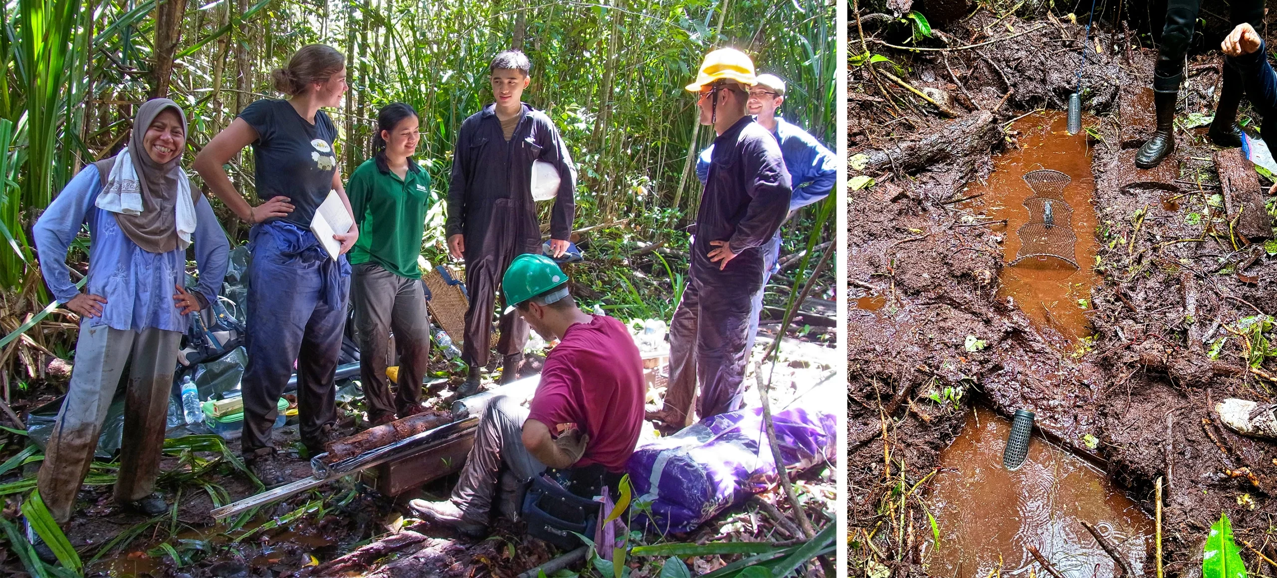 Left: Seven researchers stand in the Mendaram bog. Right: Small ditches dug into the peat are filled completely with water.