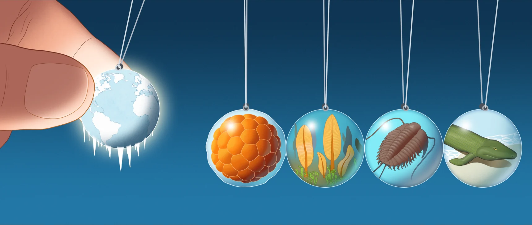 A series of marbles, each containing an illustration, hang suspended in a row, suggesting a chain reaction from left to right. From left: an image of a frozen “Snowball Earth” planet; a clump of cells; frondlike animal life; a trilobite; and a primitive four-legged animal.