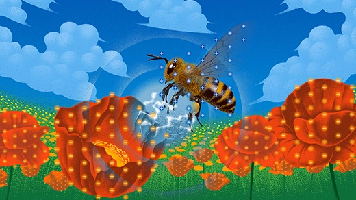 An illustration shows a bee, decorated with positive charges, approaching a field of flowers that wear negative charges. An electric field emerges between them.