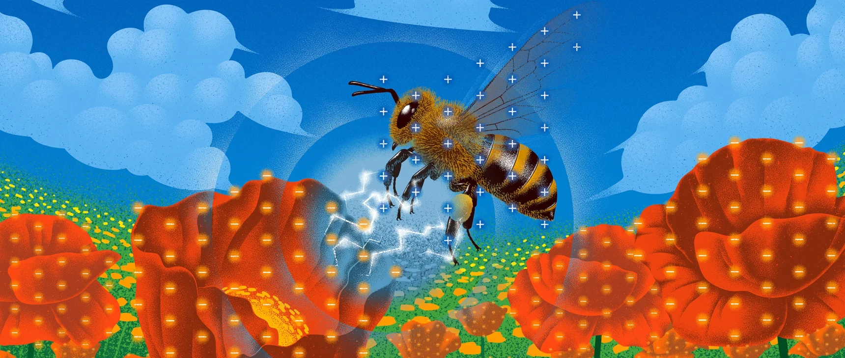 An illustration shows a bee, decorated with positive charges, approaching a field of flowers that wear negative charges. An electric field emerges between them.