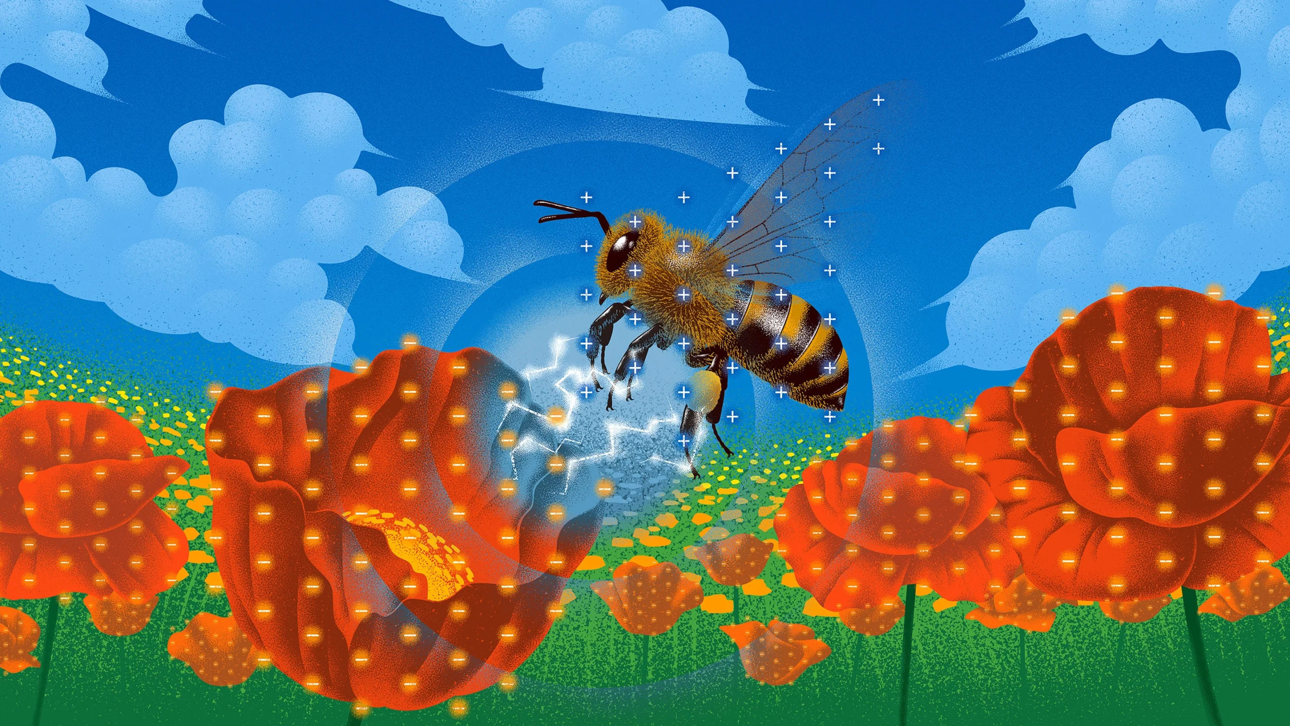 An illustration shows a bee, decorated with positive charges, approaching a field of flowers that wear negative charges. An electric field emerges between them.