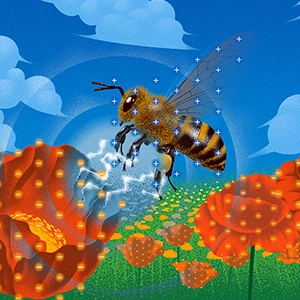 An illustration shows a bee, decorated with positive charges, approaching a field of flowers that wear negative charges. An electric field emerges between them.