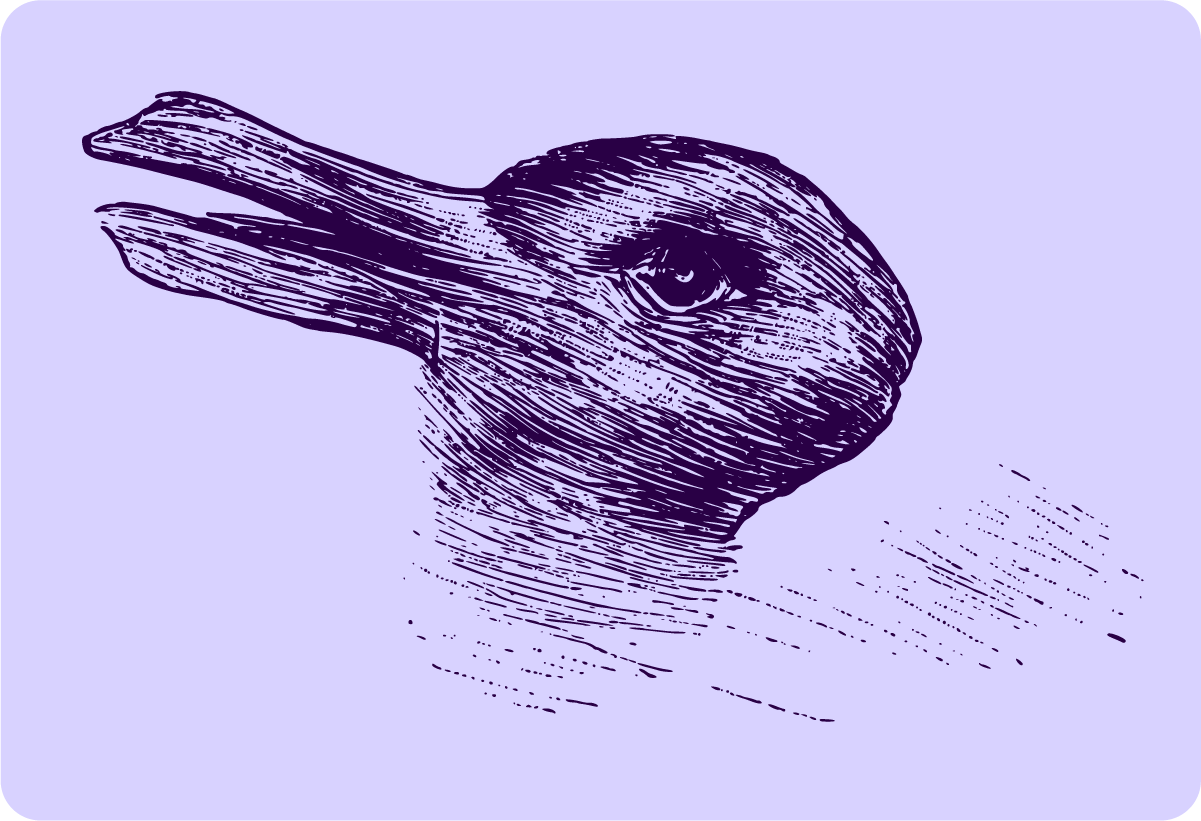 Illusion of a Rabbit and Duck made from the same shape