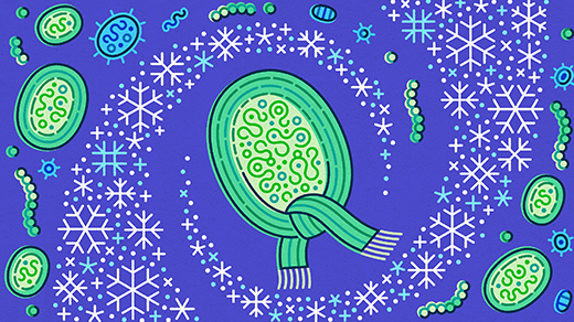 An illustration shows a cyanobacteria cell wearing a scarf, surrounded by snowflakes.