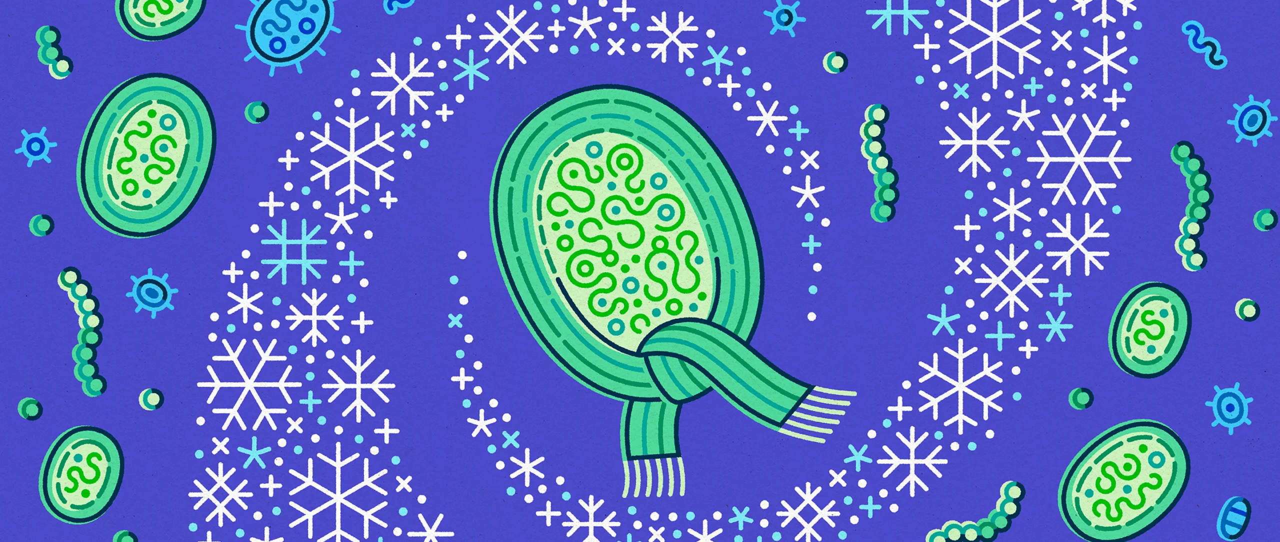 An illustration shows a cyanobacteria cell wearing a scarf, surrounded by snowflakes.