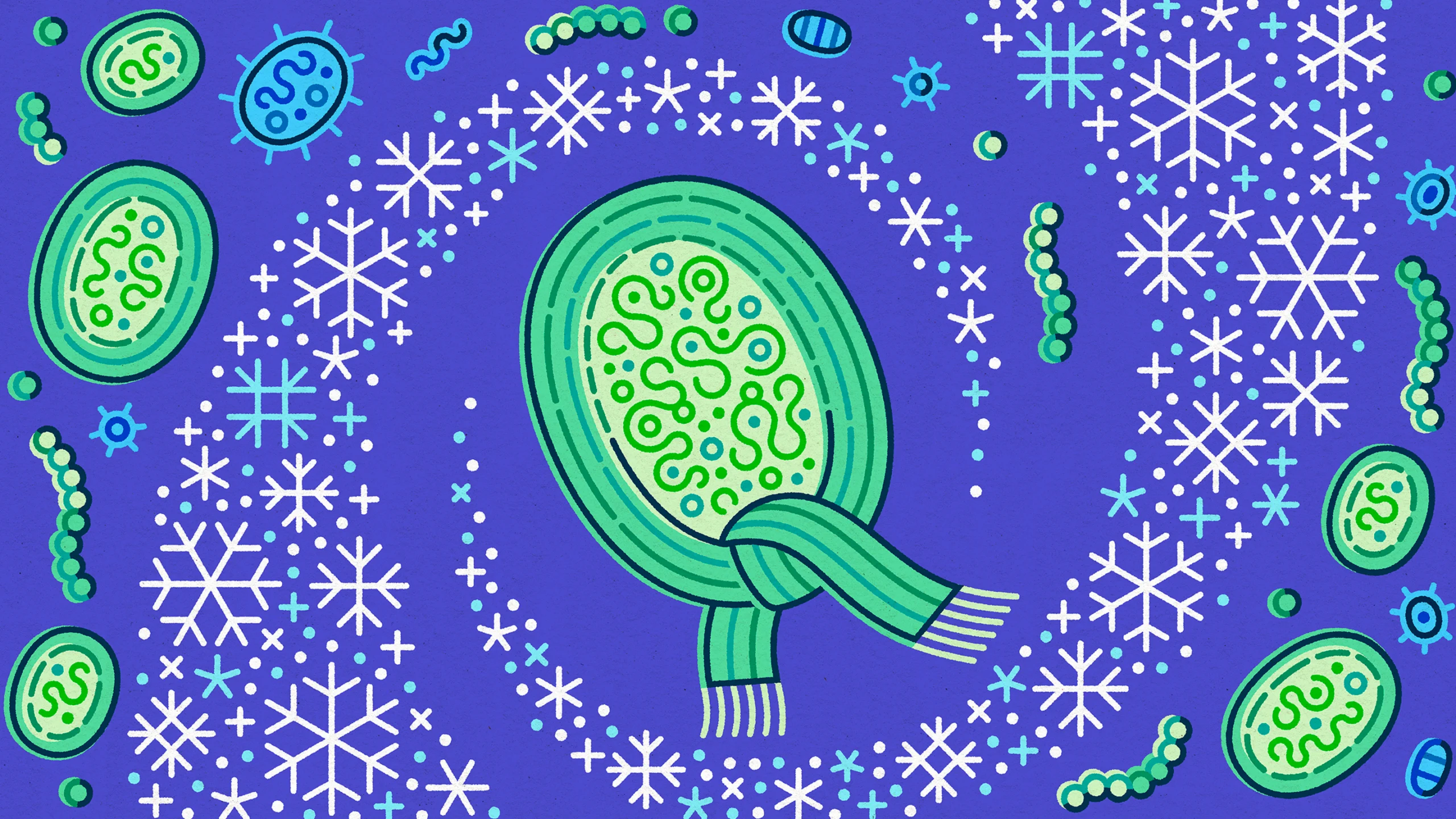 An illustration shows a cyanobacteria cell wearing a scarf, surrounded by snowflakes.