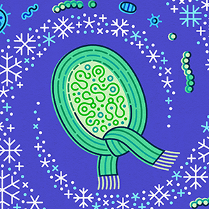 An illustration shows a cyanobacteria cell wearing a scarf, surrounded by snowflakes.