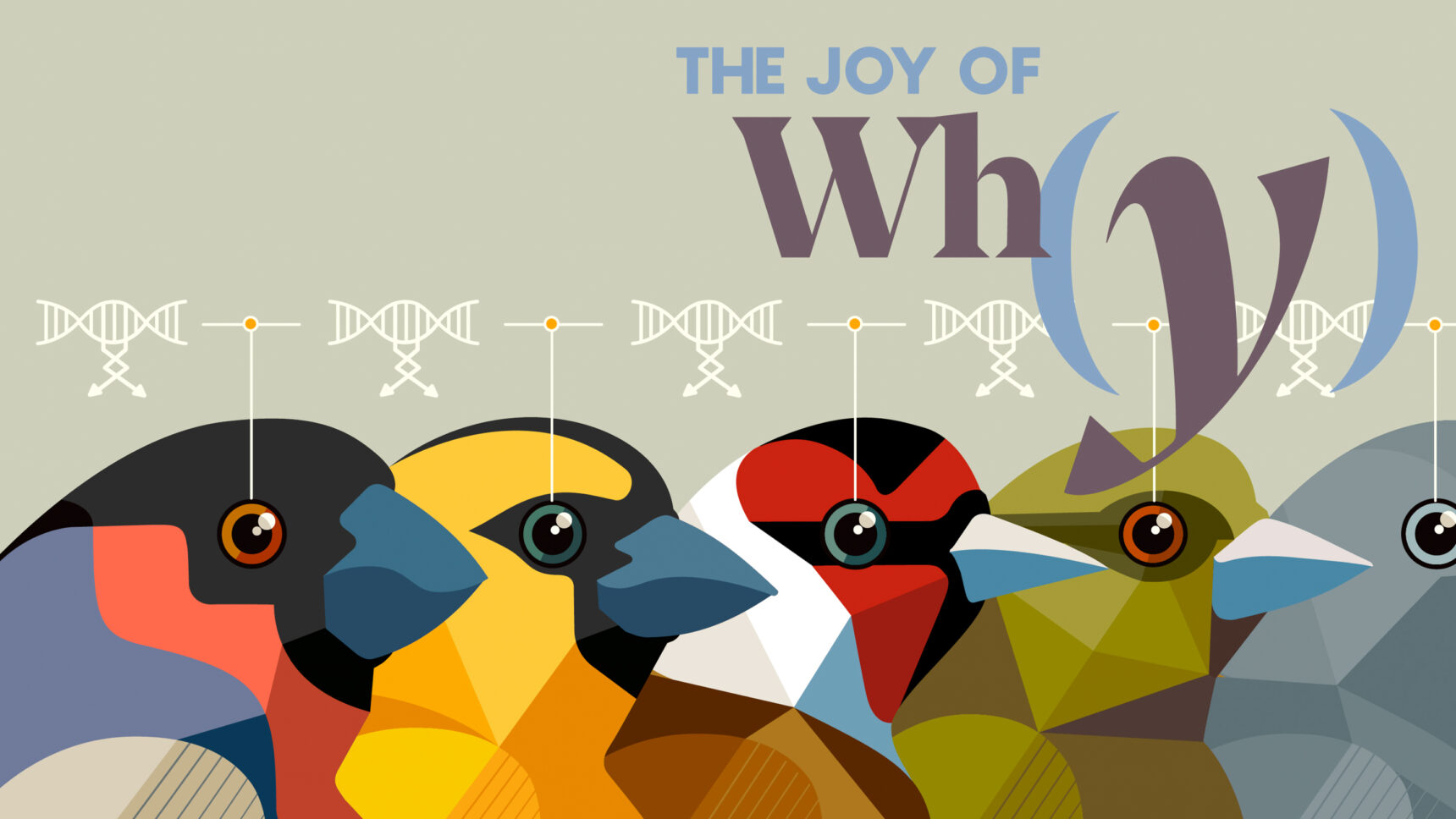 finches lined up next to DNA