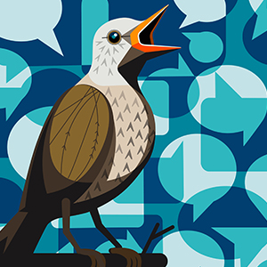 A bird surrounded by speech bubbles