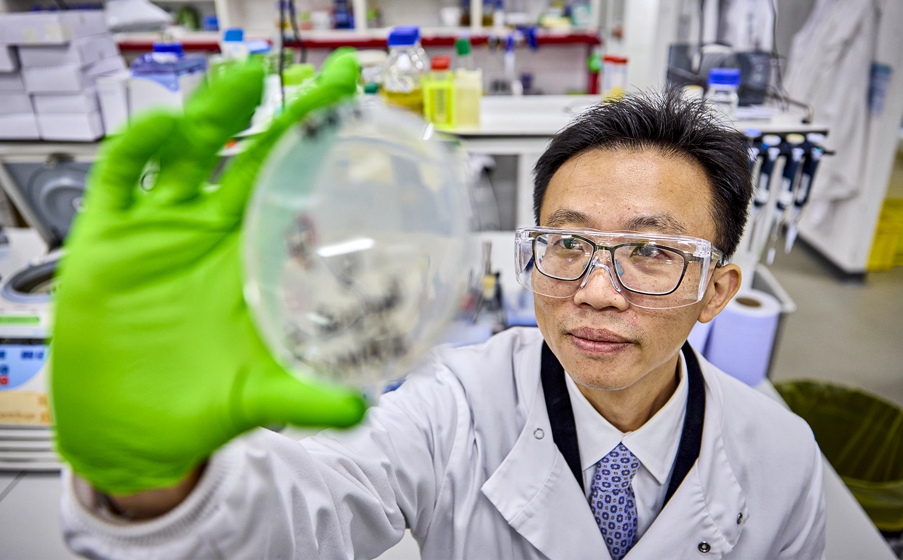 Cai wears lab goggles and a white lab coat as he peers at a plate of yeast he holds above him.]