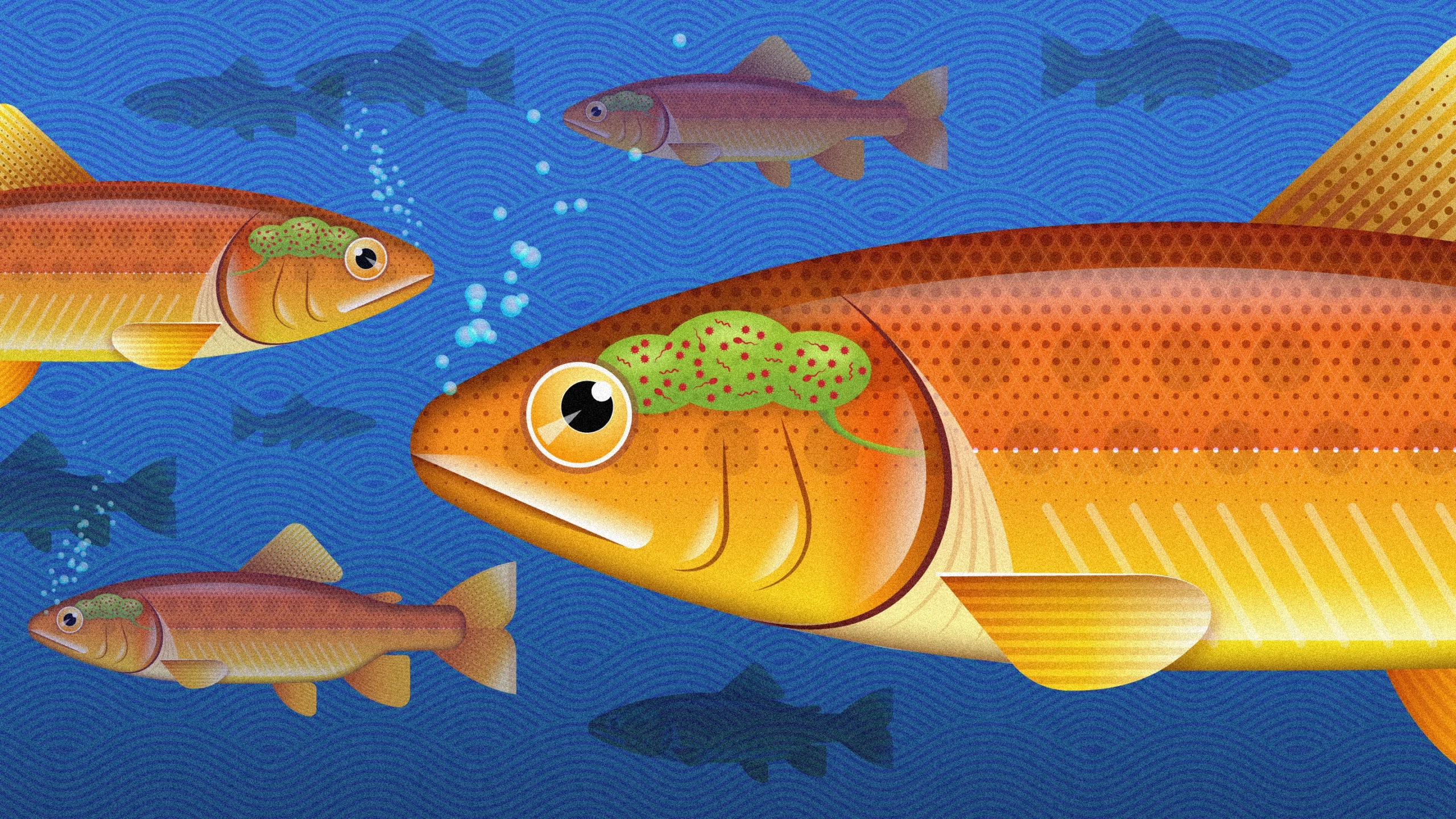 Fish swimming with outlined brains and microbes within them