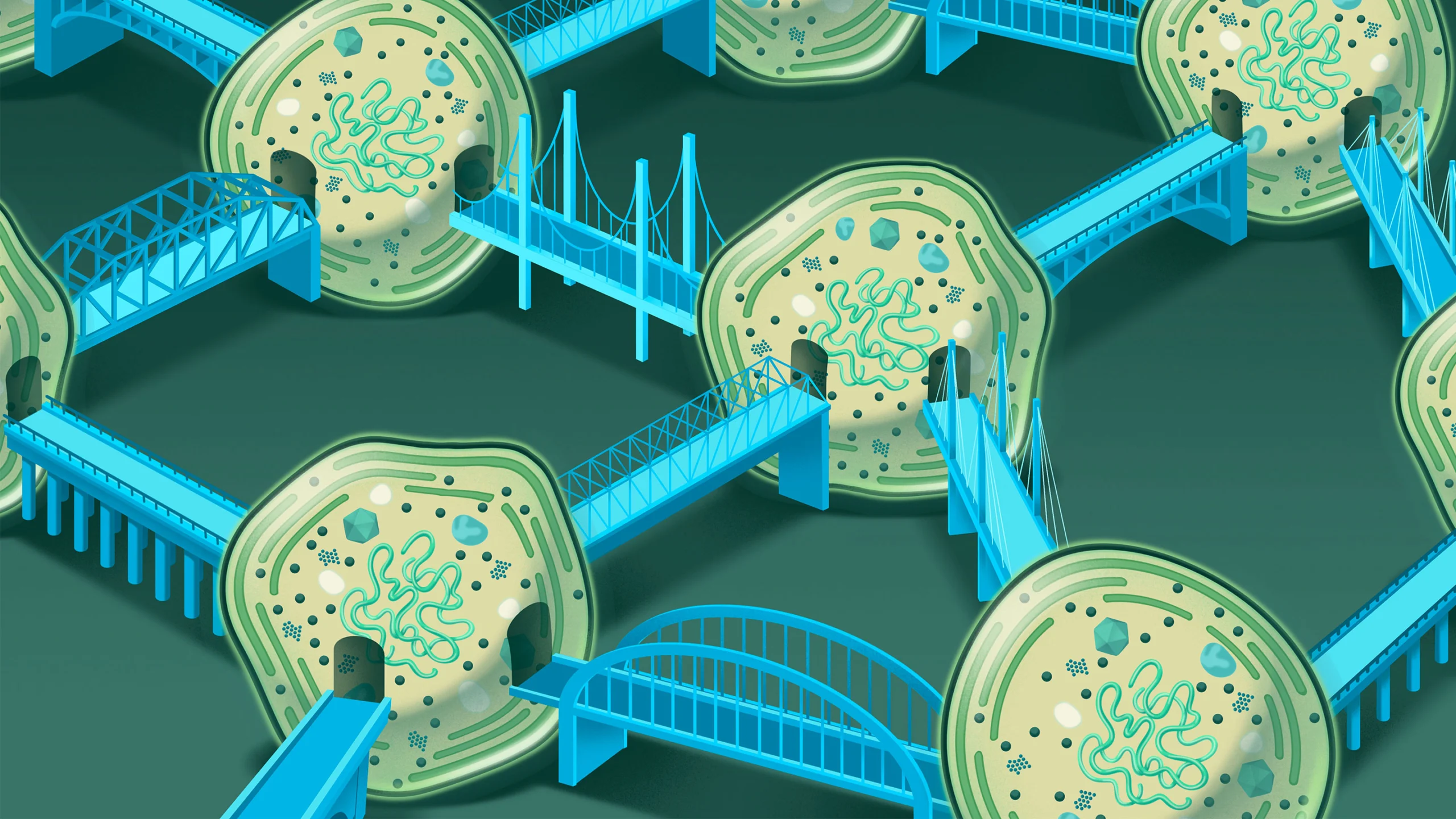 An illustration shows cells connected by different kinds of bridges, including suspension, truss and arch bridges.