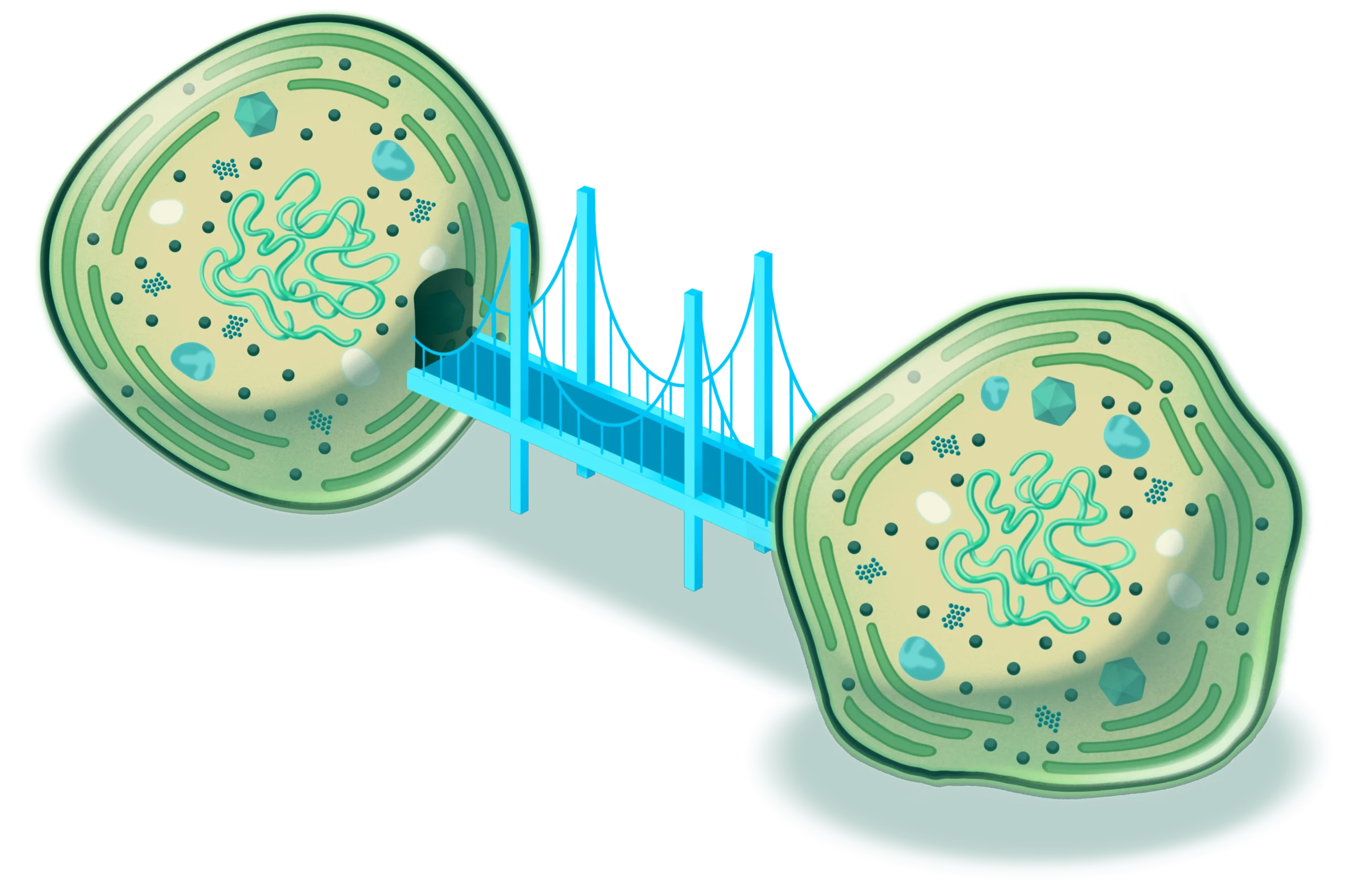 The Ocean Teems With Networks of Interconnected Micro organism | Quanta Mag