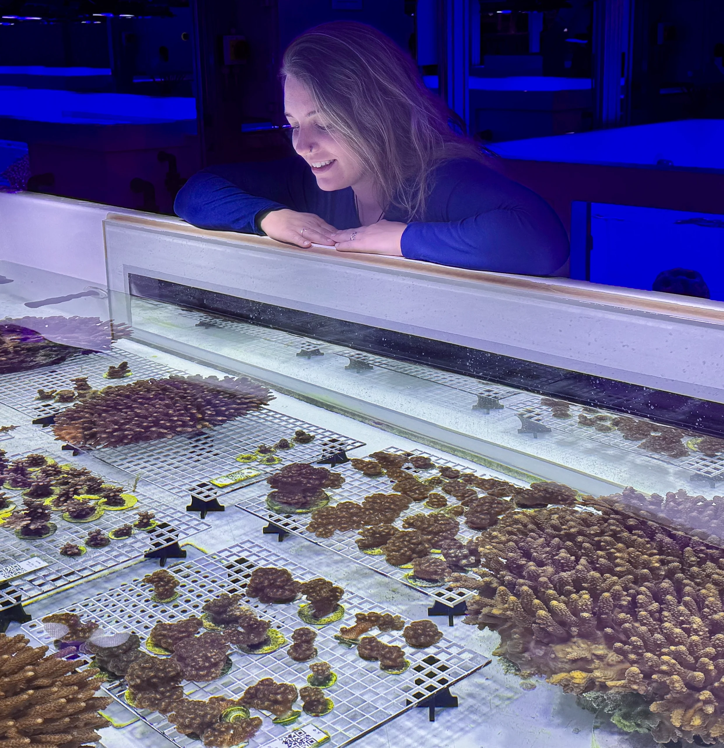 Eleonora Re stands over a tank lined with pieces of different-size coral.