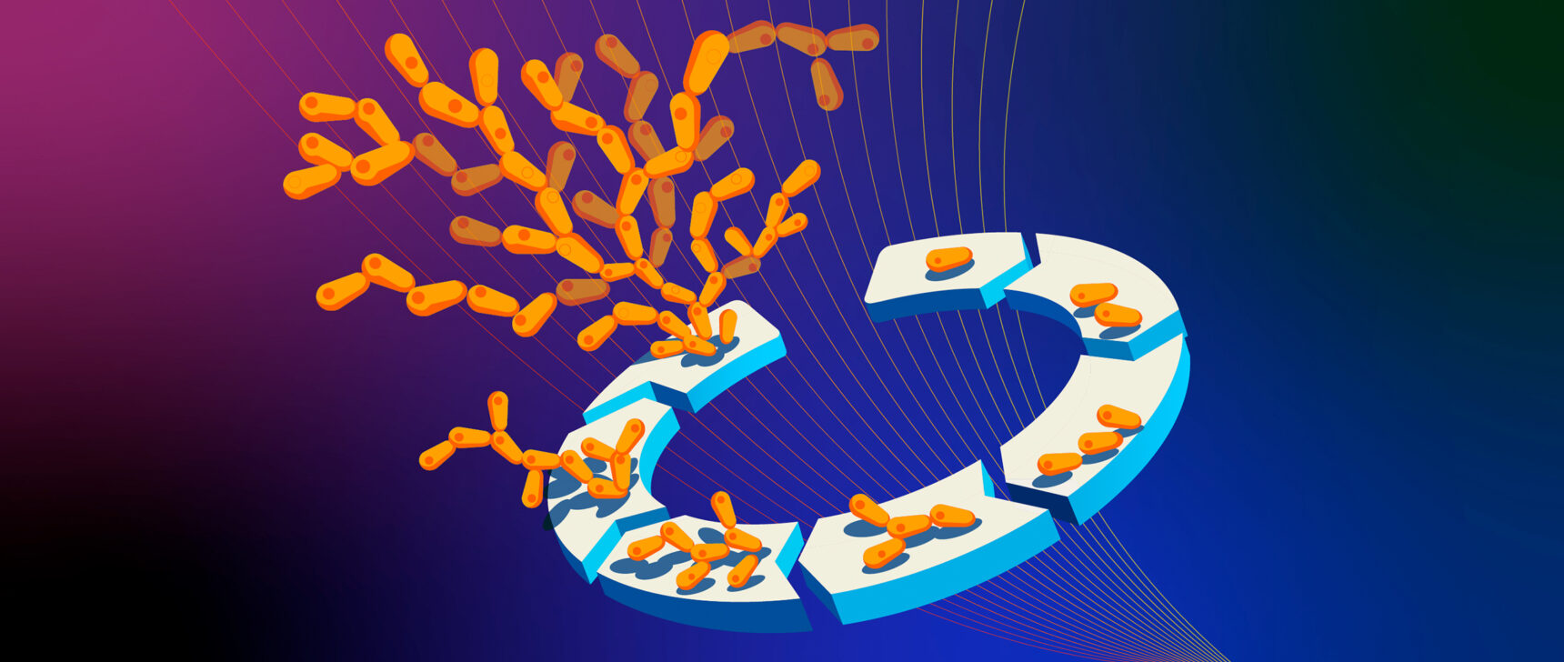 Cells dividing and multiplying