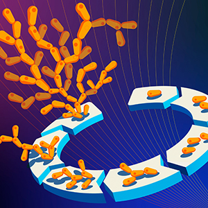 Cells dividing and multiplying