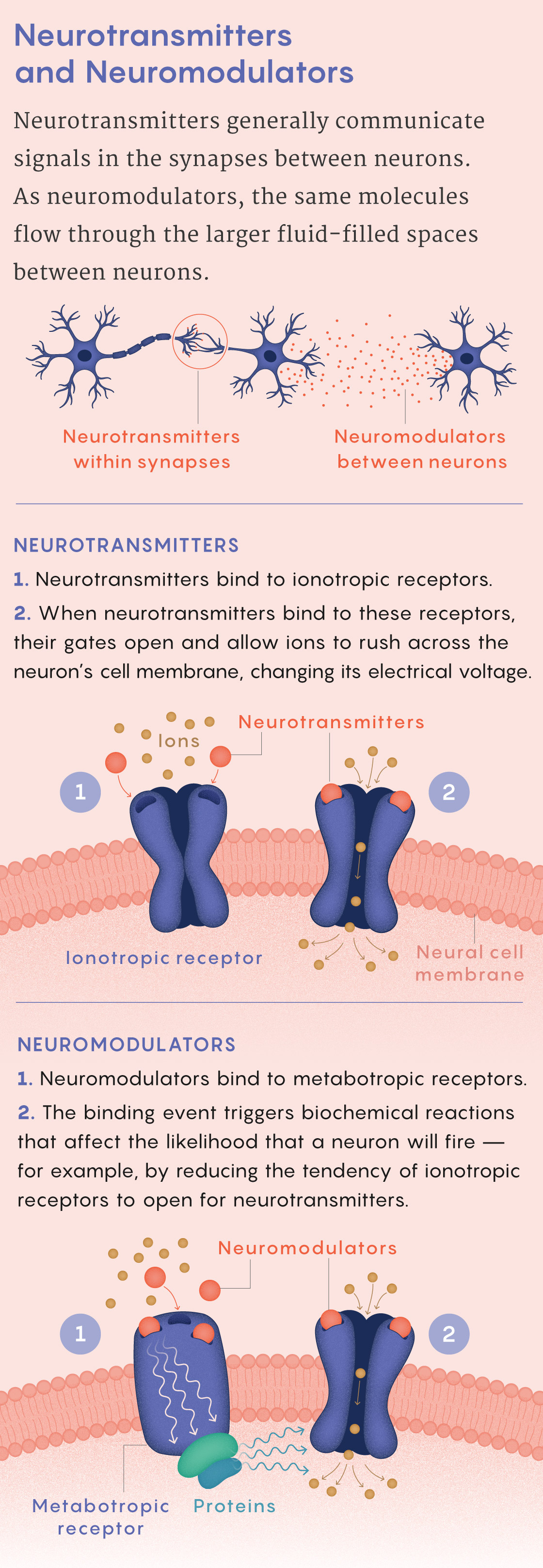 A figure that describes differences between neurotransmitters and neuromodulators.