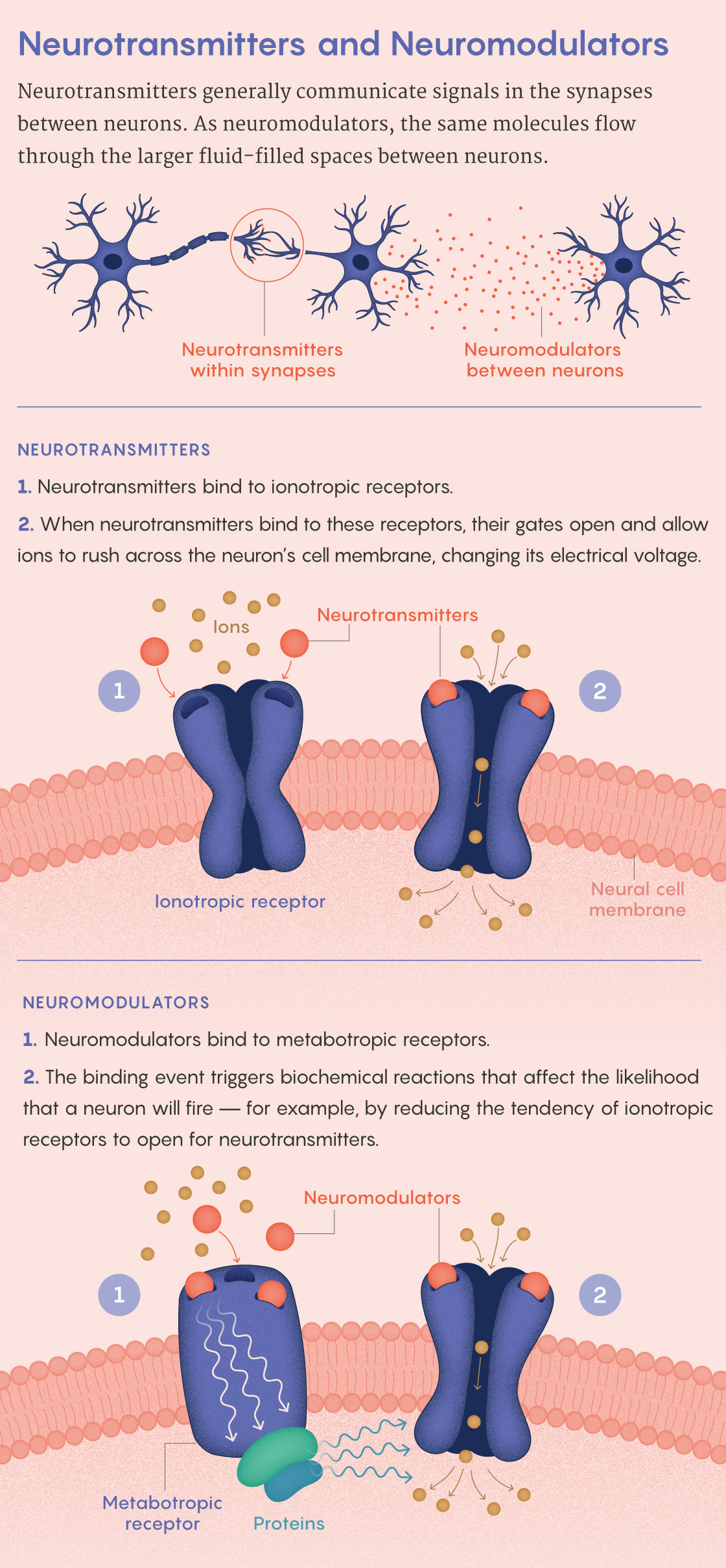 A figure that describes differences between neurotransmitters and neuromodulators.