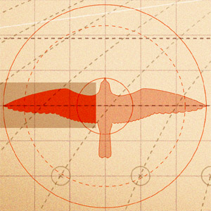 A blueprint-like rendering of the biomechanics of a bird wing.